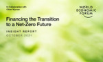 Financing the Transition to a Net-Zero Future